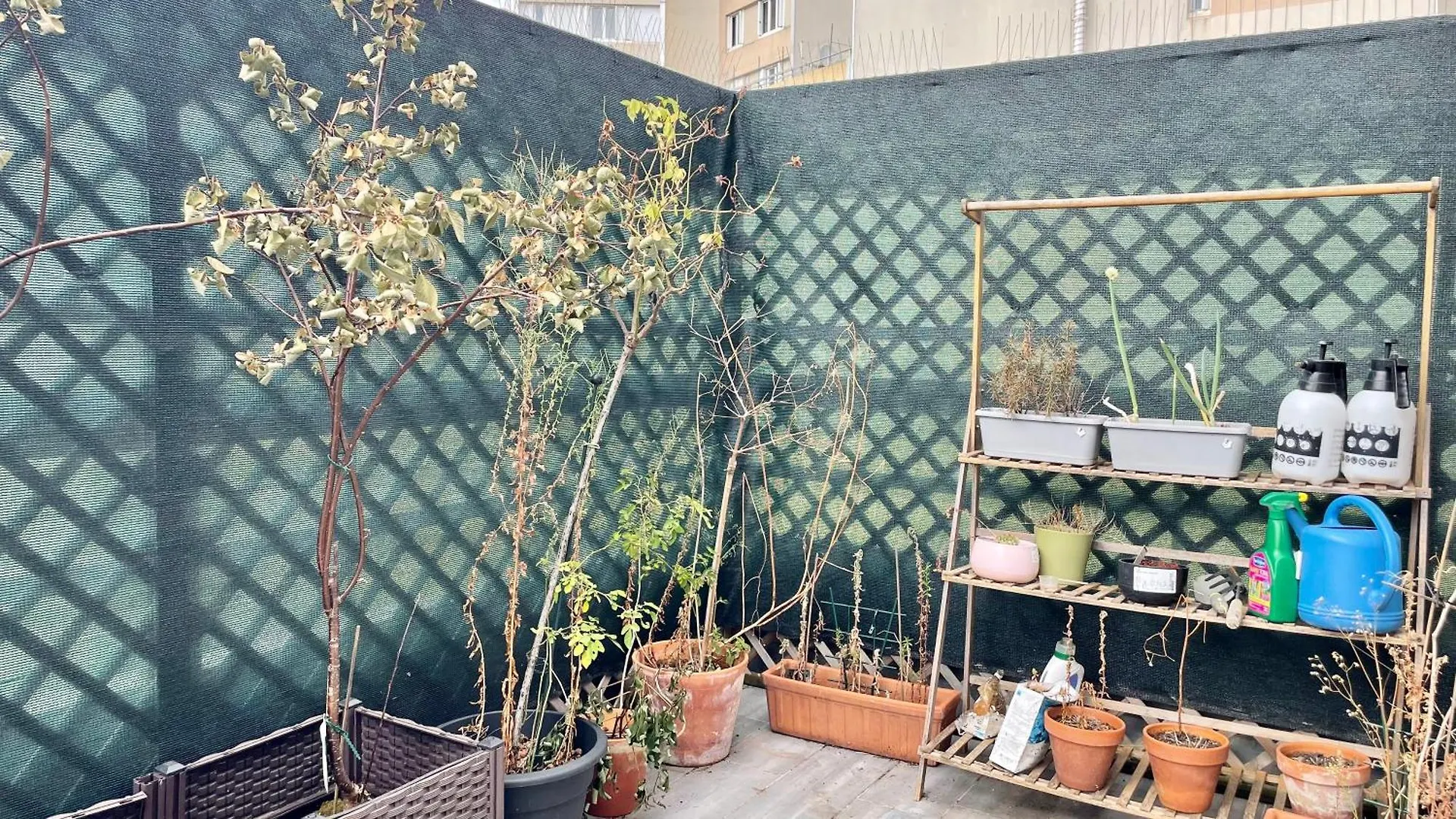 129 - Splendeur Confort Et Modernite, Terrasse Au Coeur De 巴黎